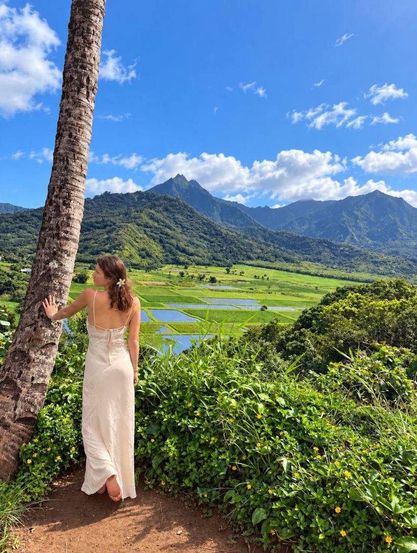 Looking out over a valley of taro fields